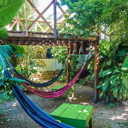 Ciao Cacao Hostel & Vegan Cafe Флорес Екстер'єр фото