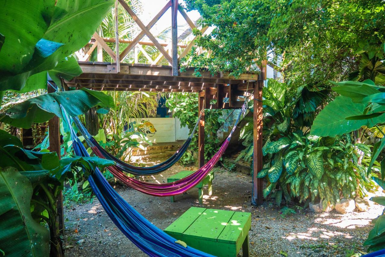 Ciao Cacao Hostel & Vegan Cafe Флорес Екстер'єр фото