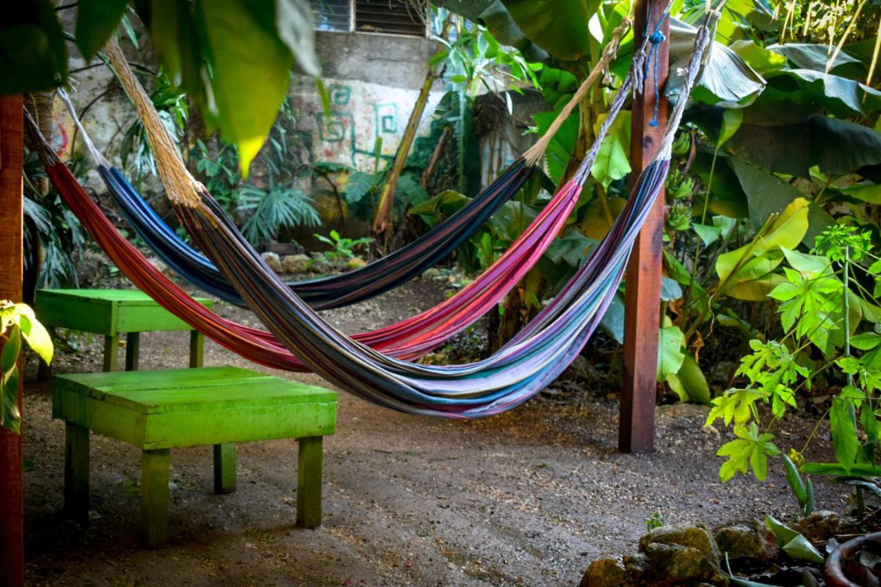 Ciao Cacao Hostel & Vegan Cafe Флорес Екстер'єр фото