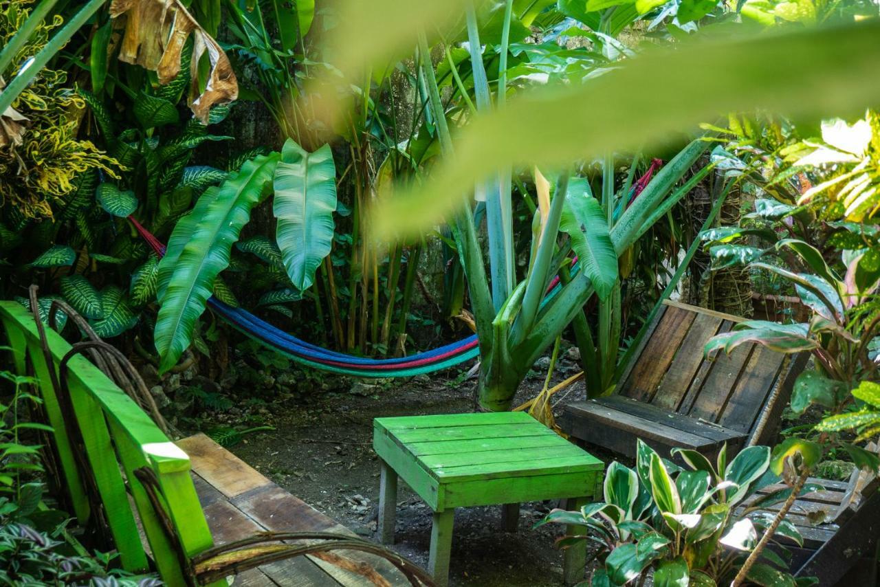 Ciao Cacao Hostel & Vegan Cafe Флорес Екстер'єр фото