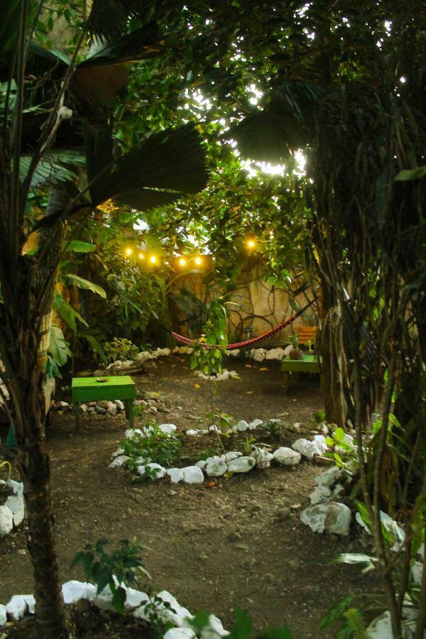 Ciao Cacao Hostel & Vegan Cafe Флорес Екстер'єр фото