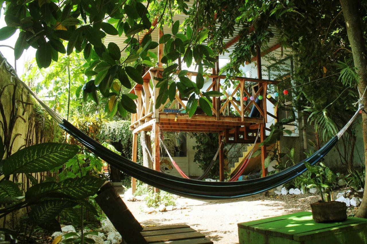 Ciao Cacao Hostel & Vegan Cafe Флорес Екстер'єр фото
