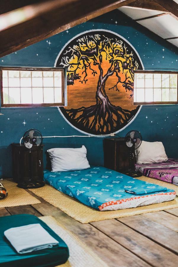 Ciao Cacao Hostel & Vegan Cafe Флорес Екстер'єр фото